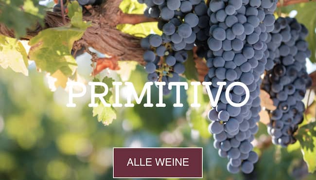 Primitivo